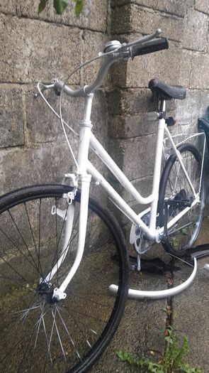 adult girls bike