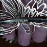 Mugler hair clip. Image 4