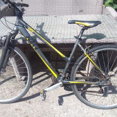 adult bike for sale
