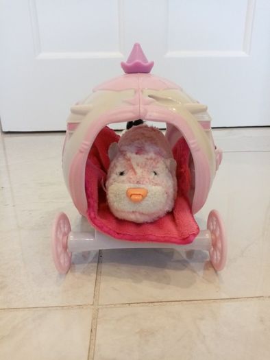 Zhu Zhu carriage, 2 Zhu Zhus and a blanket