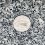 Commemorative Millennium Irish Pound Image 2