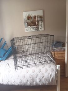 dog kennel