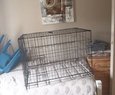 dog kennel