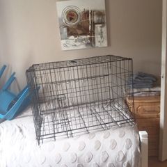 dog kennel