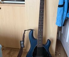Sterling 5 Bass