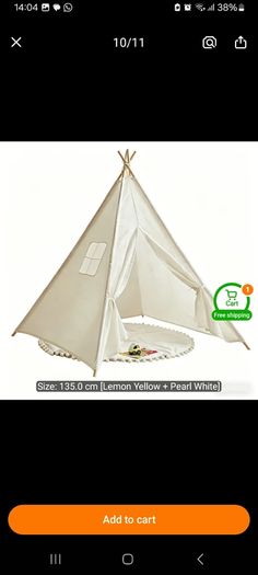 Teepee Sleepover party equipment