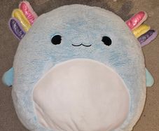 61 cm Irina Squish mallow tag on