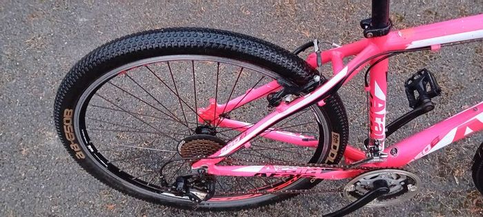 Bargin Mountain Bike