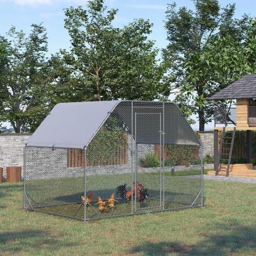 Large outdoor chicken run