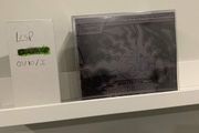 Pokemon Trading Card Game - Pitch Black Elite Trainer Box