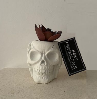 Halloween Decorations