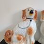 Large Staffordshire fireside spaniels (Dogs) Image 2