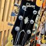 1981 Gibson ES-335 TD - Walnut Image 6