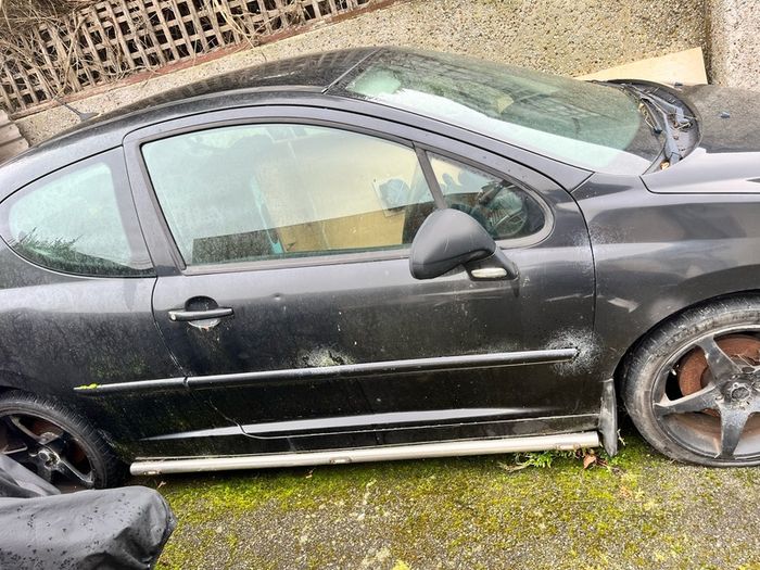 2008 Peugeot 207