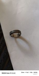 Modern Stainless Steel / Titanium Unisex Spinner Ring