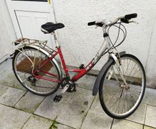 lady's  bike