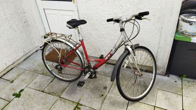 lady's  bike