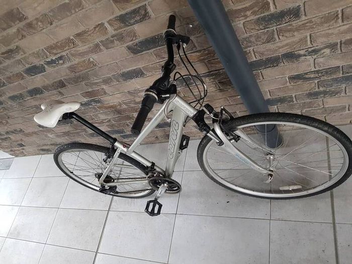 ladies bike( can deliver)