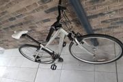 ladies bike( can deliver  for fee)