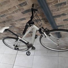 ladies bike( can deliver  for fee)