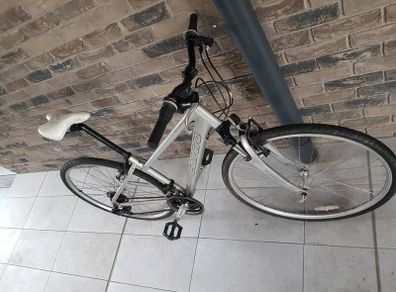 ladies bike( can deliver  for fee)