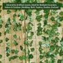 10 Pack Artificial Ivy, Vines, Ivy Garlands Artificial, Fake Ivy, Room Decor, Ivy Vines, Ivy Fence Screening, Hanging Vine, Bedroom Decor, Wedding Party Home Decor Garden Wall Decor 84 Ft Image 4