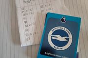 Brighton Hove premier league cards