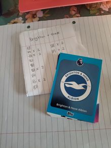 Brighton Hove premier league cards