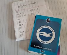 Brighton Hove premier league cards