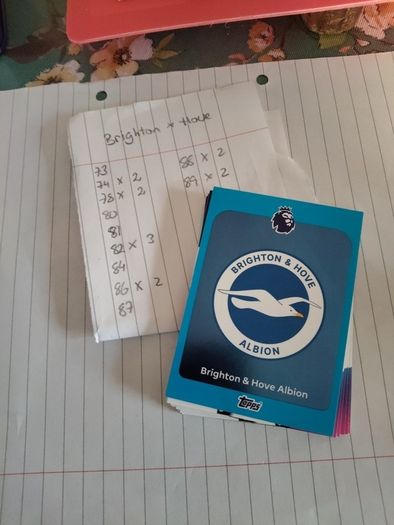 Brighton Hove premier league cards