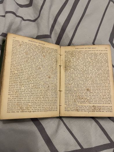 antique Robinson Crusoe by Defoe Illustrated book