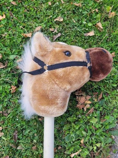 stick horse