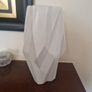vase Image 2