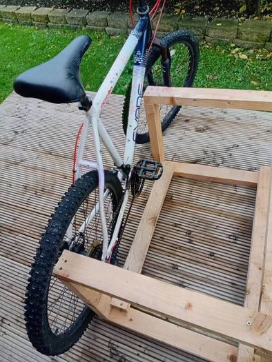 adults bike