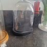 cloche display Image 2