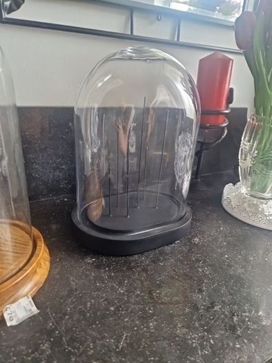 cloche display