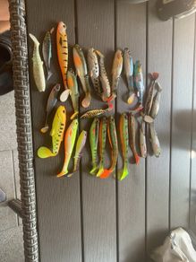pike perch lures