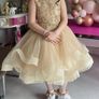 Fab occasion dress Image 2