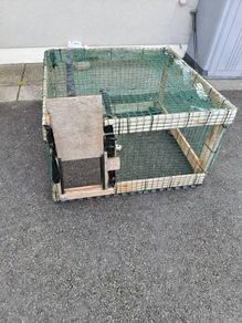 Free Cat Drop Trap