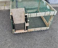 Free Cat Drop Trap