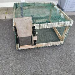 Free Cat Drop Trap