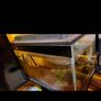 fish tank with extra gravels Image 2