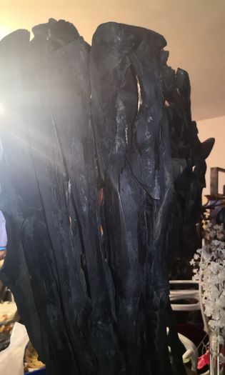 Giant unique bog oak and drift wood horse statue