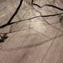 Rain Cover Image 4