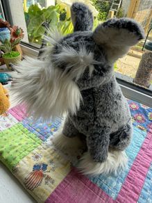 jellycat
