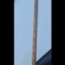 Paul Hunter Cue Image 3