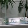 Opti White Aquariums NEW UPDATE Image 2