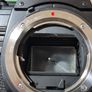 Rare Minolta X-600 SLR (Japan Only) + Minolta MD 50mm f/1.7 Serviced Image 8