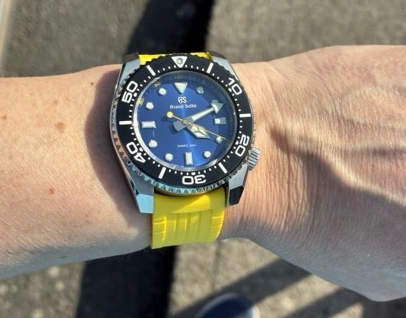 Grand Seiko Dive Watch - SBGX337