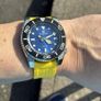 Grand Seiko Dive Watch - SBGX337 Image 6